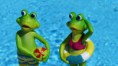 /album/vacances-dete/frog-830869-1280-jpg/